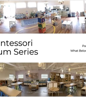 Curriculum Series: What Belongs Where