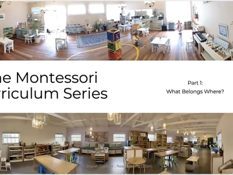 Curriculum Series: What Belongs Where